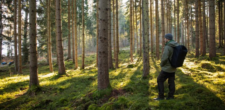 Un participant du Canoë Trip - 3 jours au cœur de la forêt suédoise